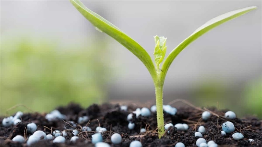 Empresa de fertilizante irá instalar fábrica em Minas