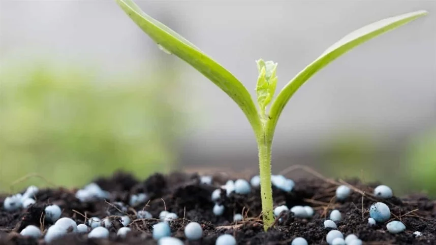 Empresa de fertilizante irá instalar fábrica em Minas 2 empresa de fertilizante ira instalar fabrica em minas