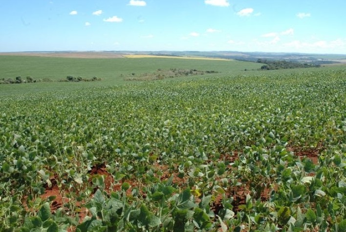 Epagri usa imagens de satélite para mapear área de soja