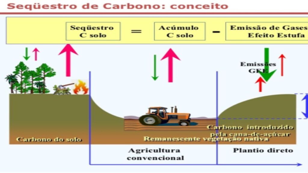 Saúde do solo e sequestro de carbono, o que tem a ver?