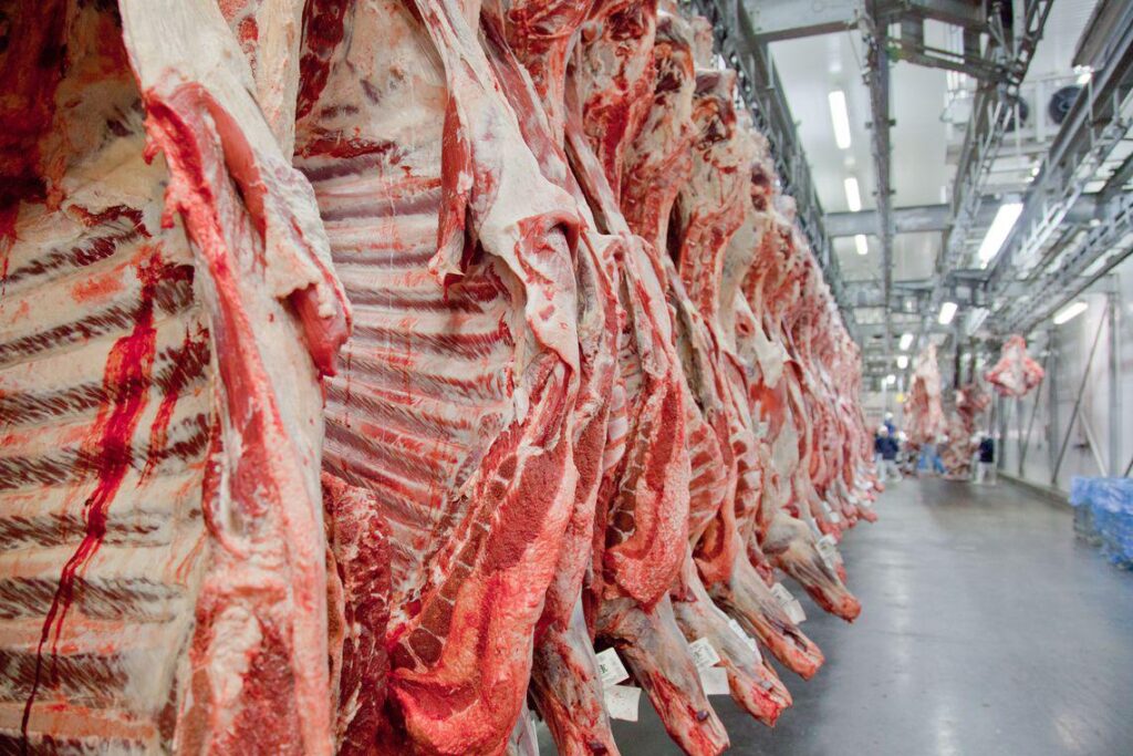 Exportação de carne bovina do Brasil desacelera em novembro 3 carne