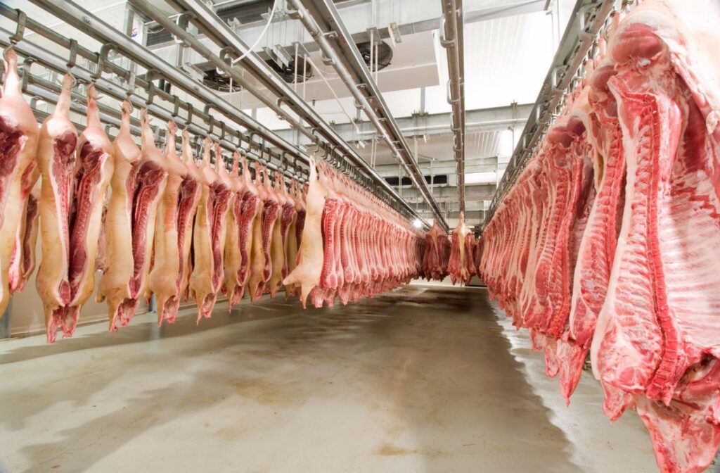 exportacoes de carne suina de novembro crescem 178 em relacao a 2021