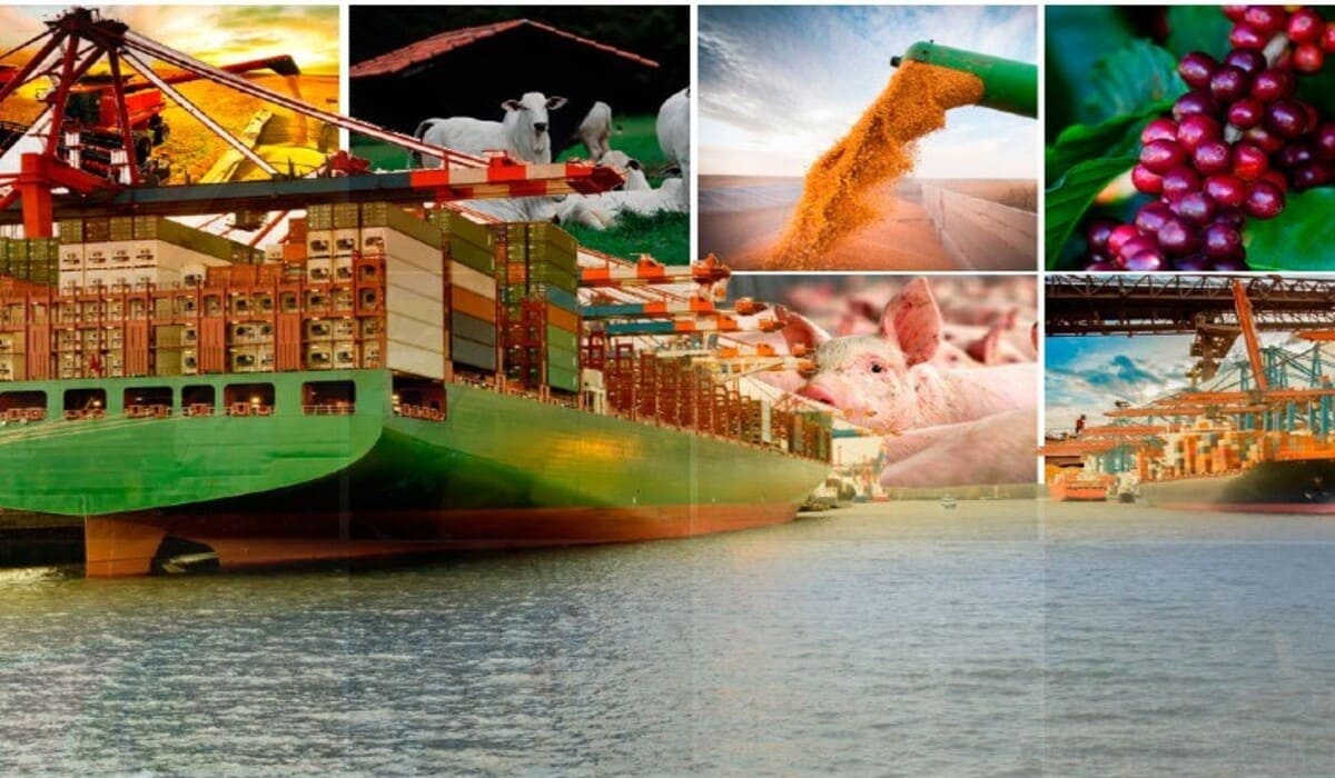 Exportações goianas triplicam em faturamento 10 Exportações goianas triplicam em faturamento