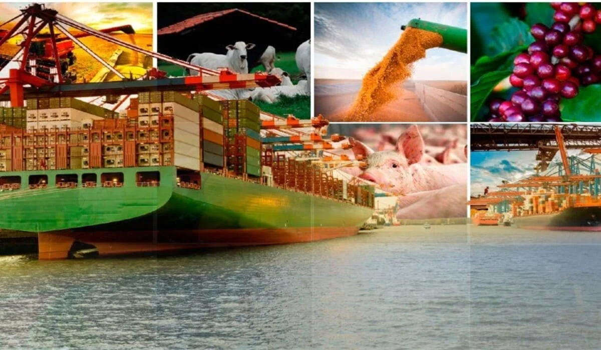 Exportações goianas triplicam em faturamento