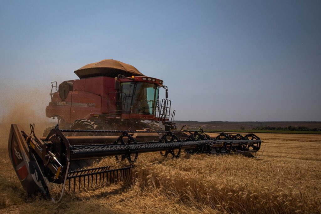 Gaúchos vivem super safra de trigo e perdas nas culturas de verão 2 CompreRural.com