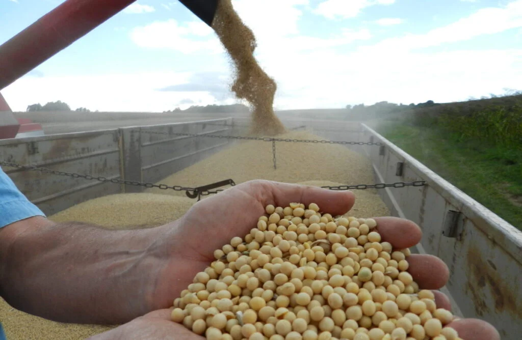 ibge projeta safra recorde de 2936 milhoes de toneladas para 2023