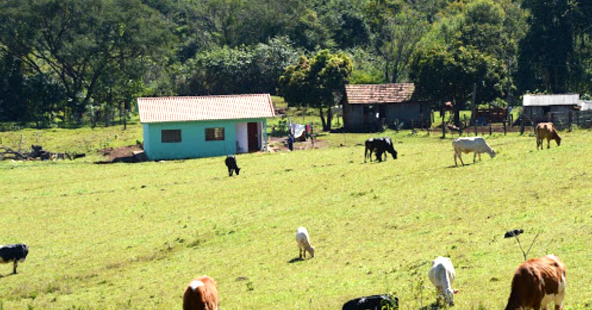 inseguranca no campo preocupa os produtores rurais baianos portal dbo