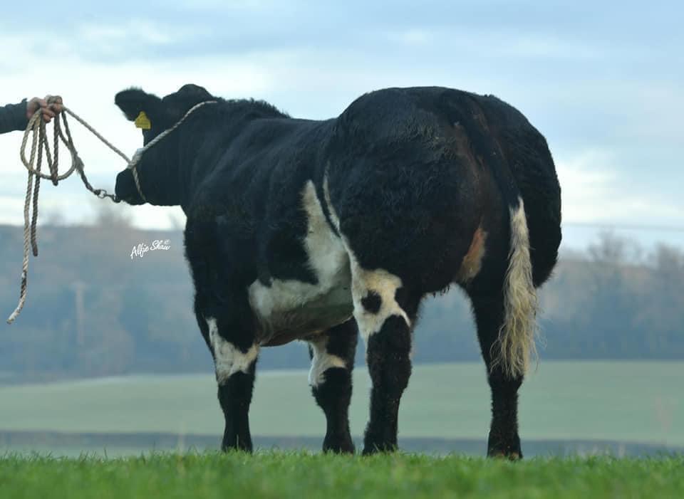 Jalex sale total comes to £413,000