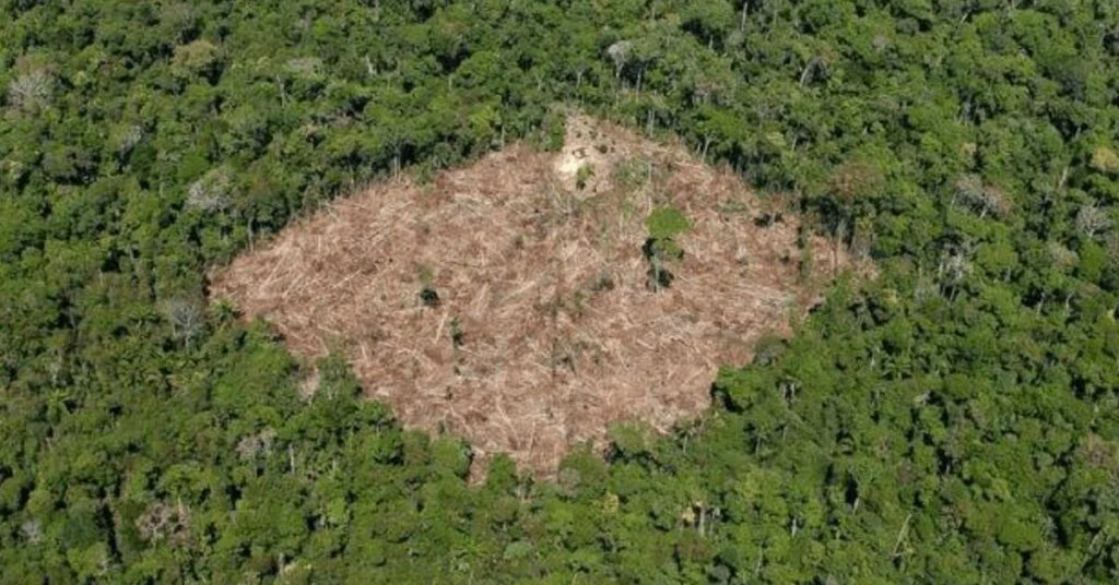 lei aprovada pela UE é marco histórico, diz Observatório do Clima • Portal DBO 2 lei aprovada pela ue e marco historico diz observatorio do clima portal dbo