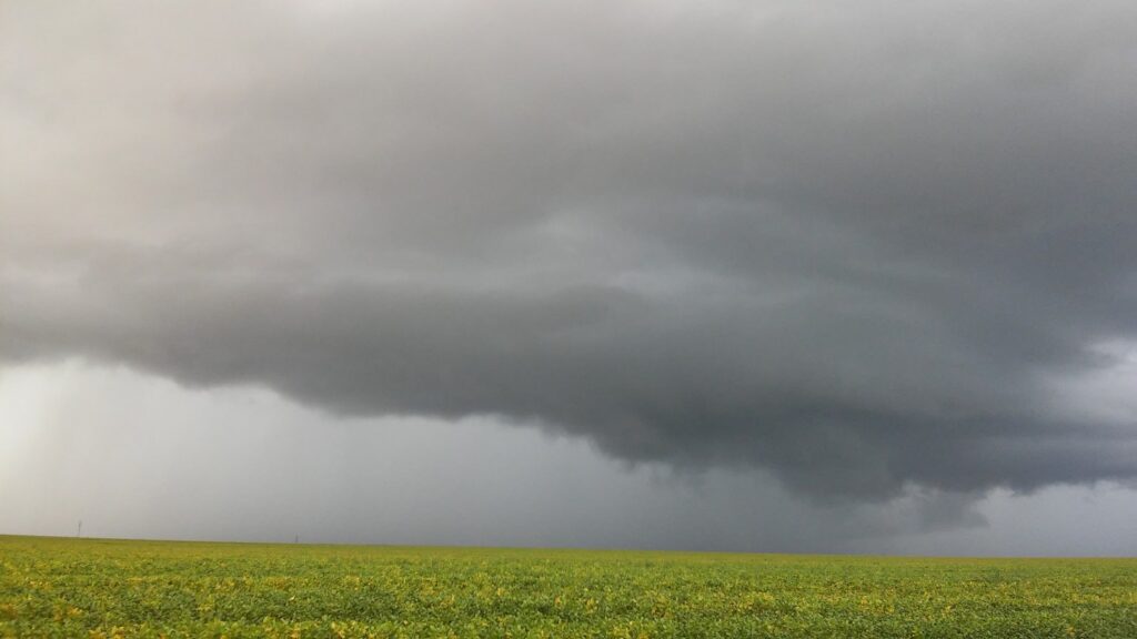 levantamento preliminar da Epagri aponta cadeias produtivas mais prejudicadas 15 levantamento preliminar da epagri aponta cadeias produtivas mais prejudicadas 1