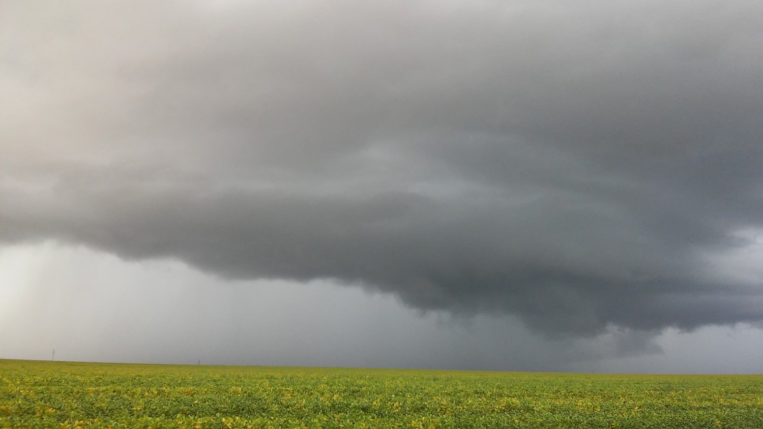 levantamento preliminar da epagri aponta cadeias produtivas mais prejudicadas 1