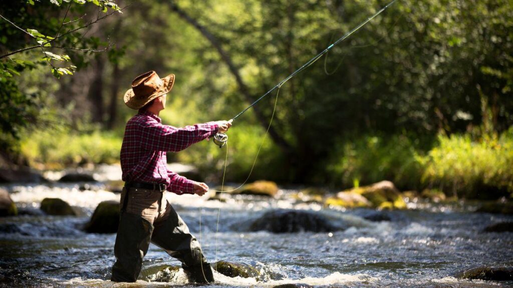 Licença para pescar: quando o documento é necessário? 7 licenca para pescar quando o documento e necessario