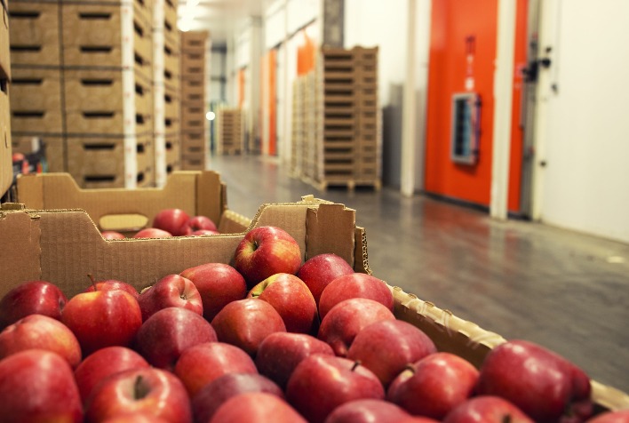 Maçã: EUA continua como o maior comprador de suco do Brasil