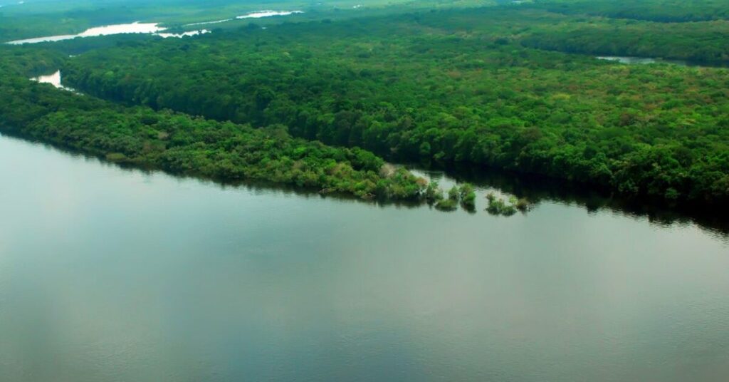 mapa autoriza concessoes em duas florestas nacionais da amazonia portal dbo