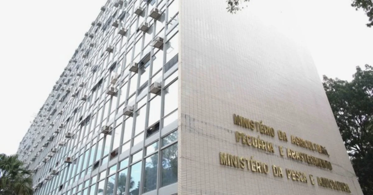 mapa divulga nota sobre caso suspeito de mal da vaca louca portal dbo 3