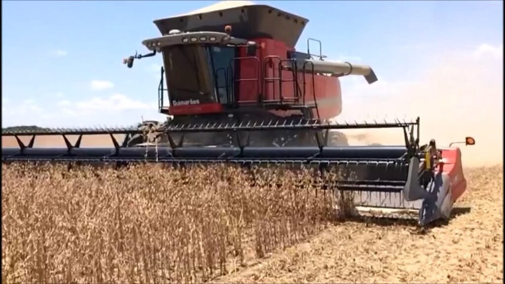 Máquina colhe 5.220 sc/dia de soja, aumento de 900% no resultados 2 Confira, o mercado da soja para essa semana