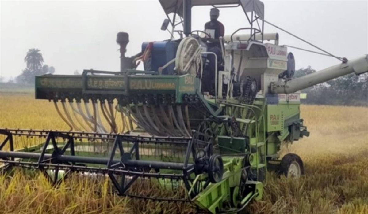 Maquinário para semente de trigo e restolho de arroz