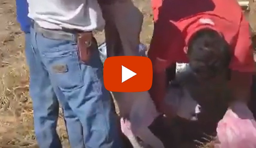 Milagre salva trigêmeos em parto “impossível”; Vídeo!