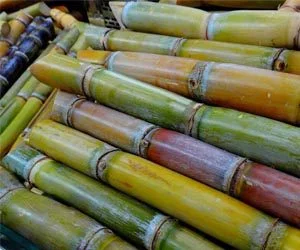 A Canaoeste conquistou o prêmio MasterCana Centro-Sul na categoria "Proposta de inovação"? 7 moagem de cana do brasil deve saltar 288 em 10 anos area crescera 12 3