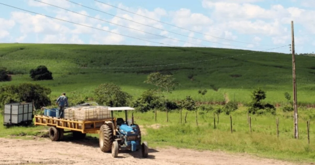 MP reduz prazo para proprietário rural pedir adesão a regularização ambiental • Portal DBO