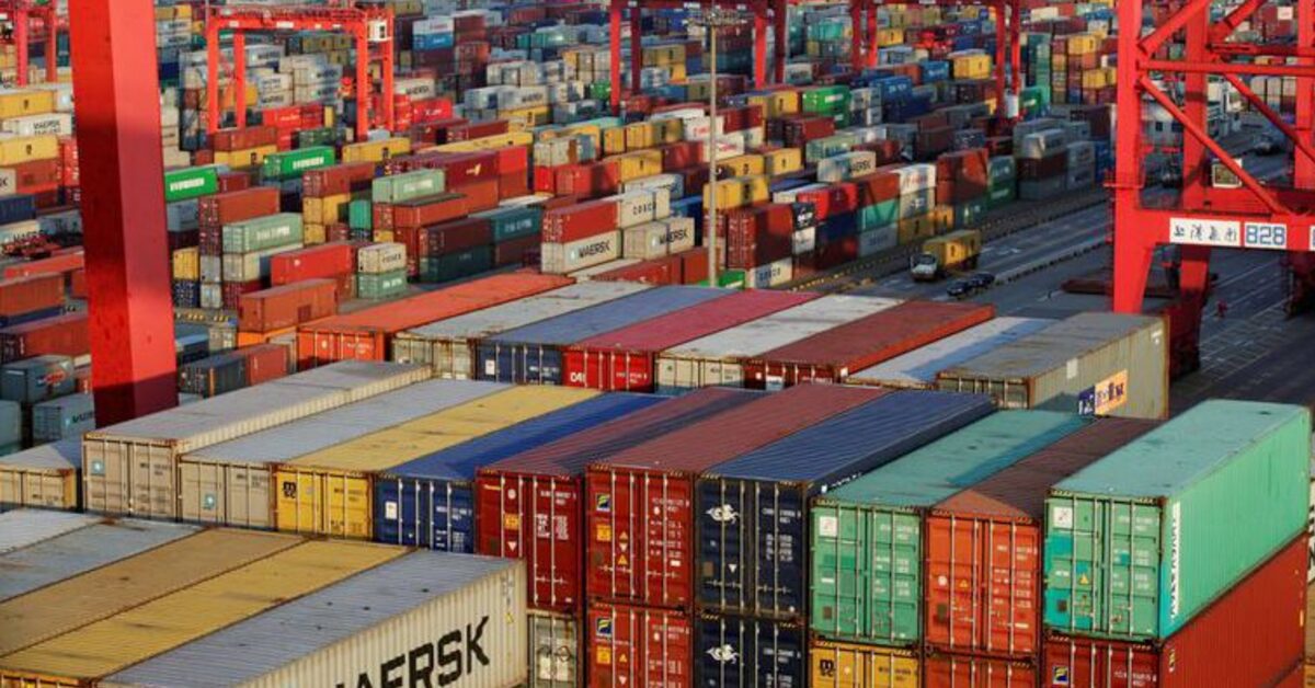 omc alerta sobre numero de restricoes globais sobre exportacao portal dbo 3