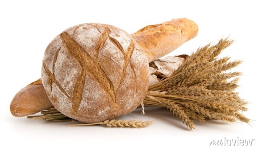 Padeiros cobram para que governo aumente produção local de trigo