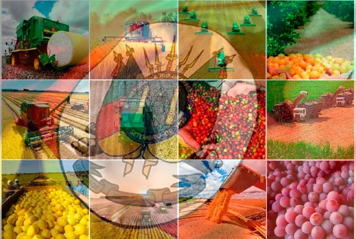 pib do rs registra alta de 13 1