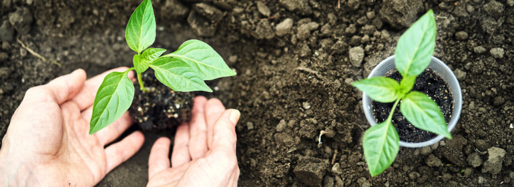 produtores terao capacitacao sobre preparo de bioinsumos 1