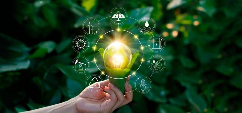 Qual fazenda brasileira é considerada uma das mais tecnológicas? 1 prazo para apresentação do Projeto de Compensação Ambiental