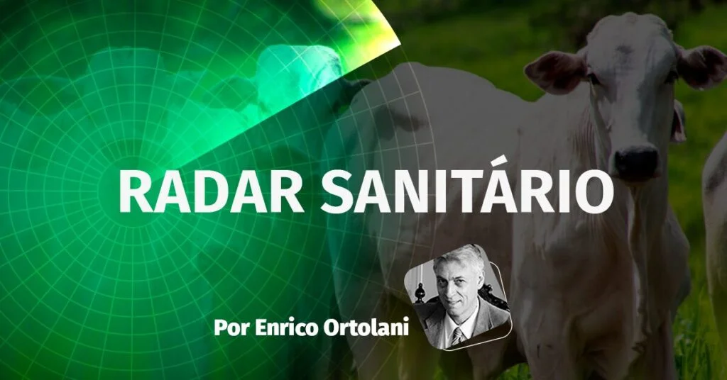 Radar Sanitário | Mosca-dos-chifres infestam rebanhos das bordas da Amazônia e da Região Sudeste • Portal DBO 2 radar sanitario mosca dos chifres infestam rebanhos das bordas da amazonia e da regiao sudeste portal dbo