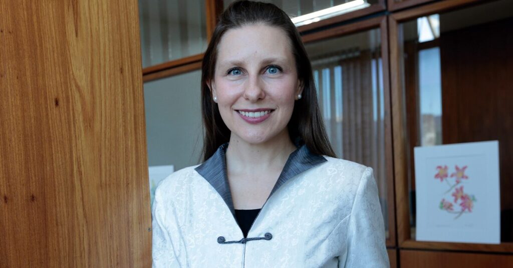 Revista DBO | O chinês “desconhece” a carne bovina brasileira • Portal DBO 2 revista dbo o chines desconhece a carne bovina brasileira portal dbo