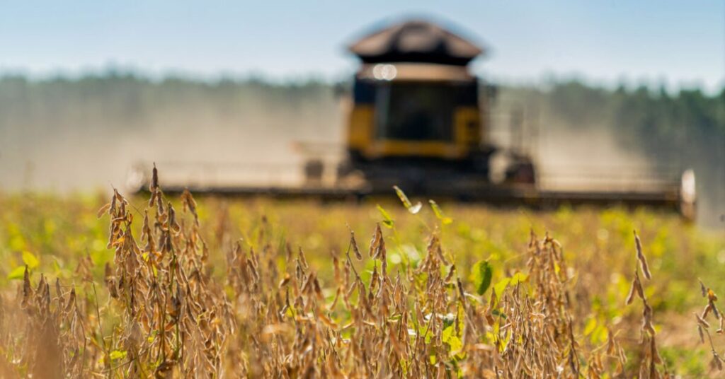 safra 2023 alcancara recorde de 2936 milhoes de t mostra ibge portal dbo