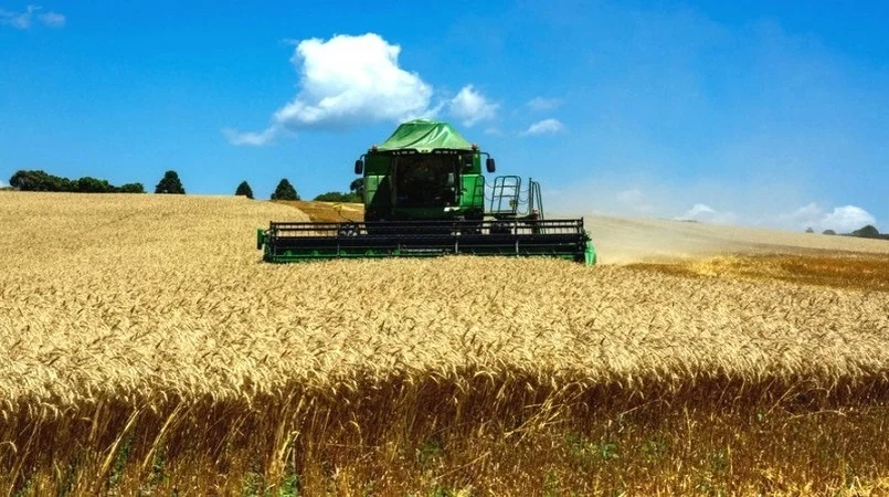 Safra de grãos 22/23 é estimada em 312,2 milhões/t 2 safra de graos 22 23 e estimada em 3122 milhoes t