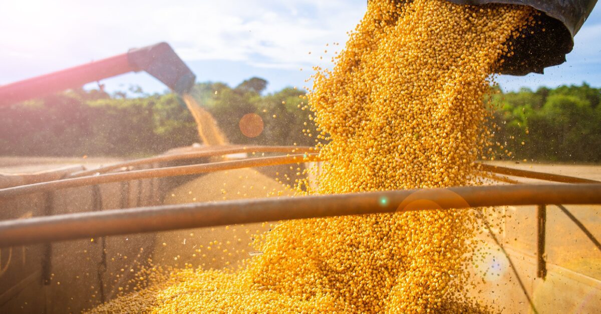 Safra de grãos 22/23 é estimada em 312,2 milhões/t