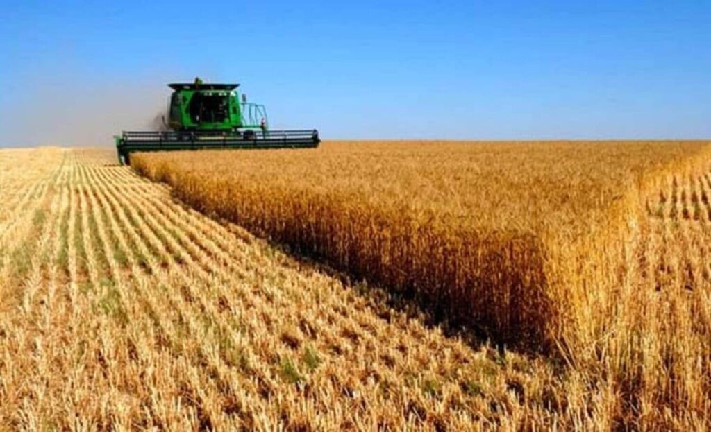 produção nacional de grãos é estimada em 312,2 milhões de toneladas na safra 2022/23 • Portal DBO
