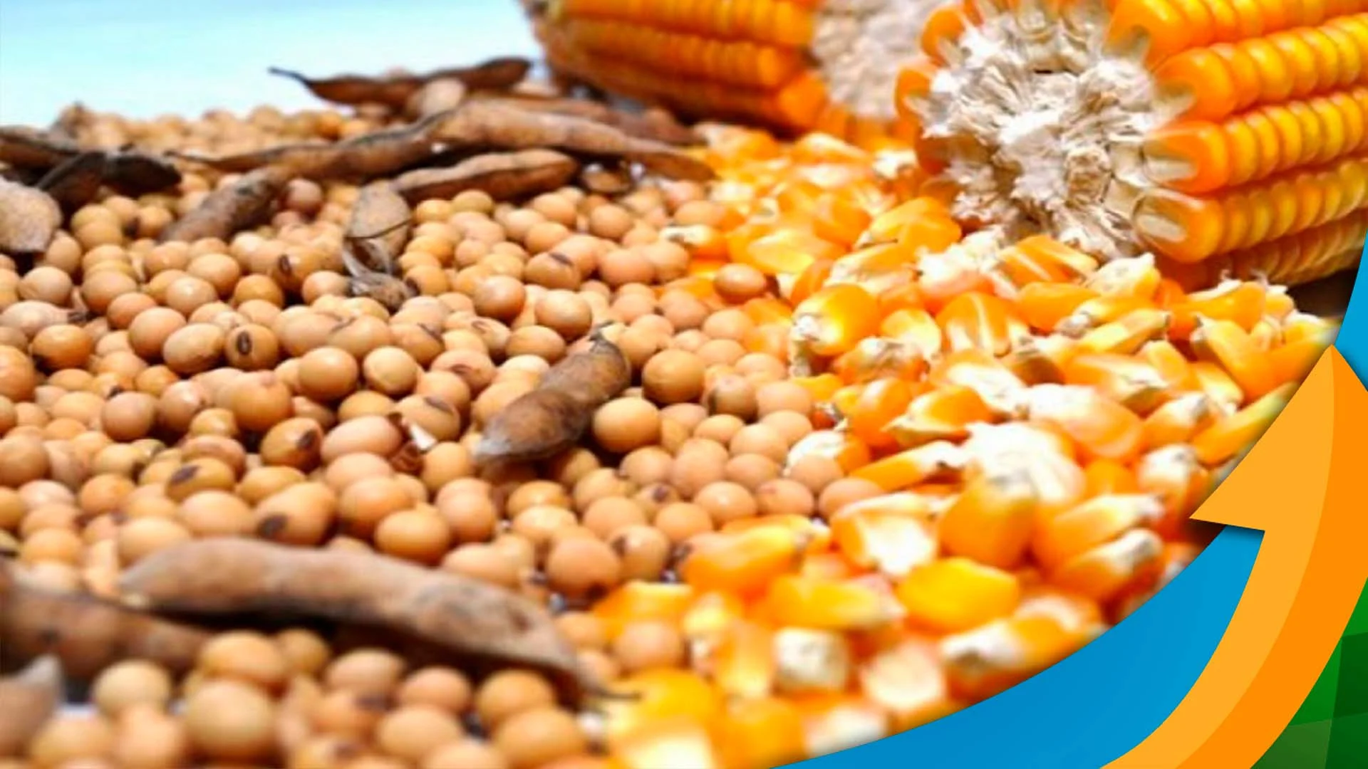 Santa Catarina escapa da seca e espera 2,7 milhões de toneladas para soja e…