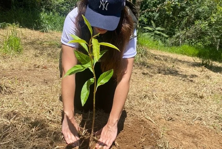 serra da mantiqueira em mg recebe plantio de mudas de arvores