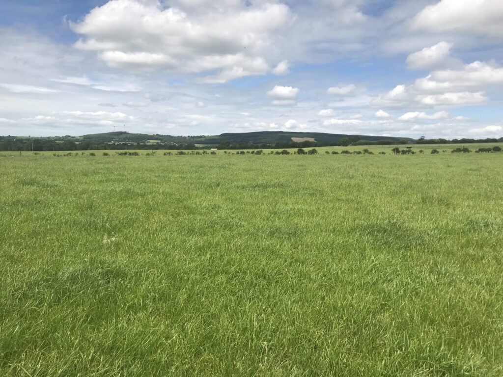 Teagasc advisors to earn €4.9m in ACRES fees 2 teagasc advisors to earn e4 9m in acres fees 3