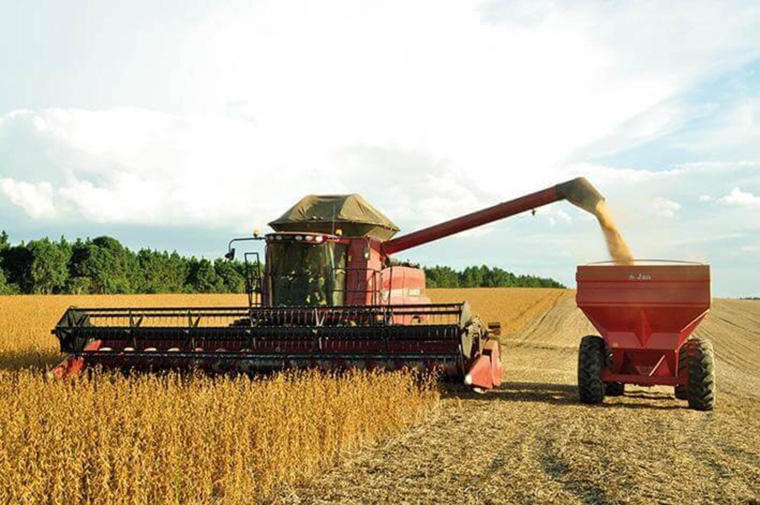 tecnologia e a chave da produtividade da nova safra de graos