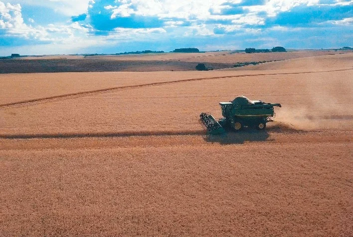 Trigo brasileiro: oportunidades e desafios da cultura 2 trigo brasileiro oportunidades e desafios da cultura