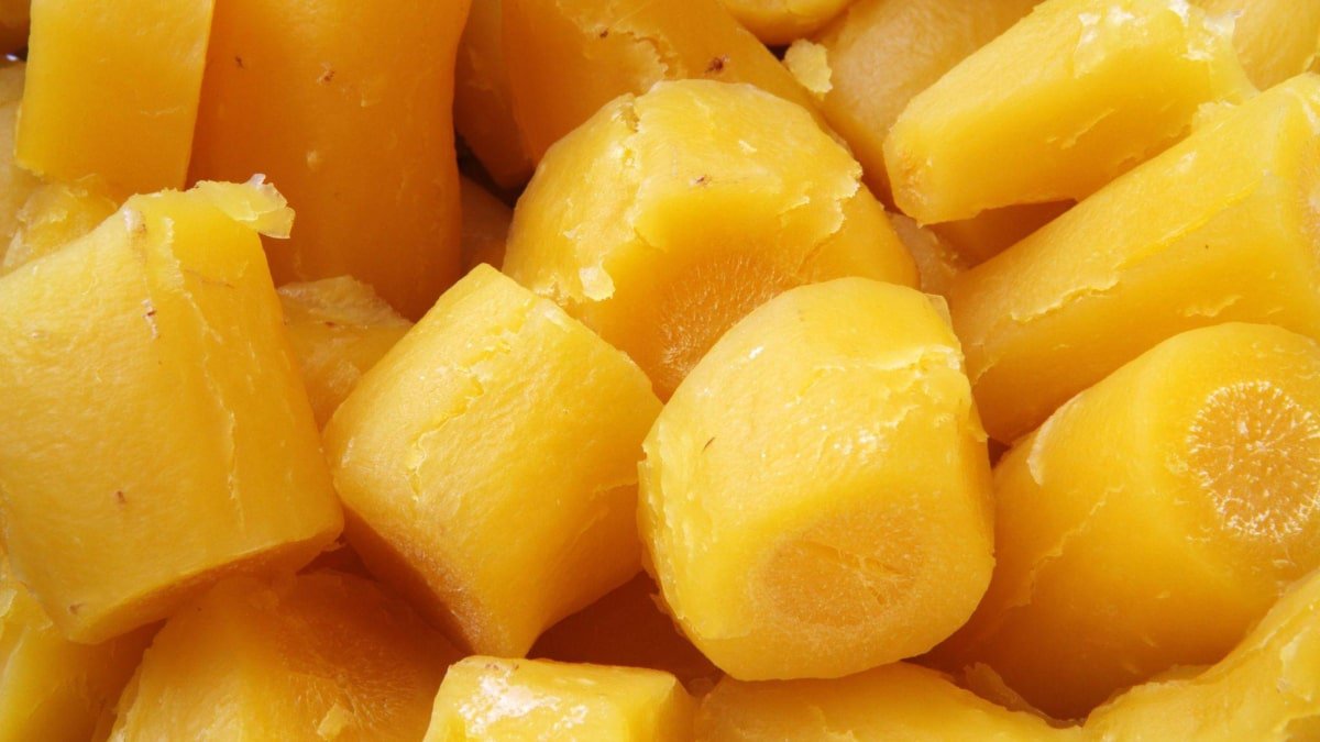 tuberculos o que sao e quais os beneficios para a saude