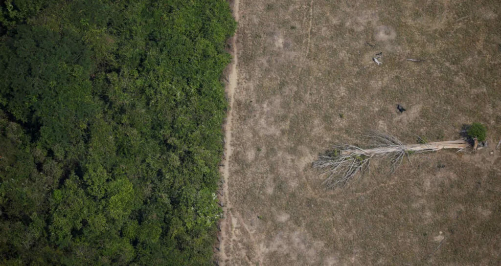 UE fecha acordo sobre lei que impede importação de bens ligados a desmatamento – Money Times 2 ue fecha acordo sobre lei que impede importacao de bens ligados a desmatamento money times