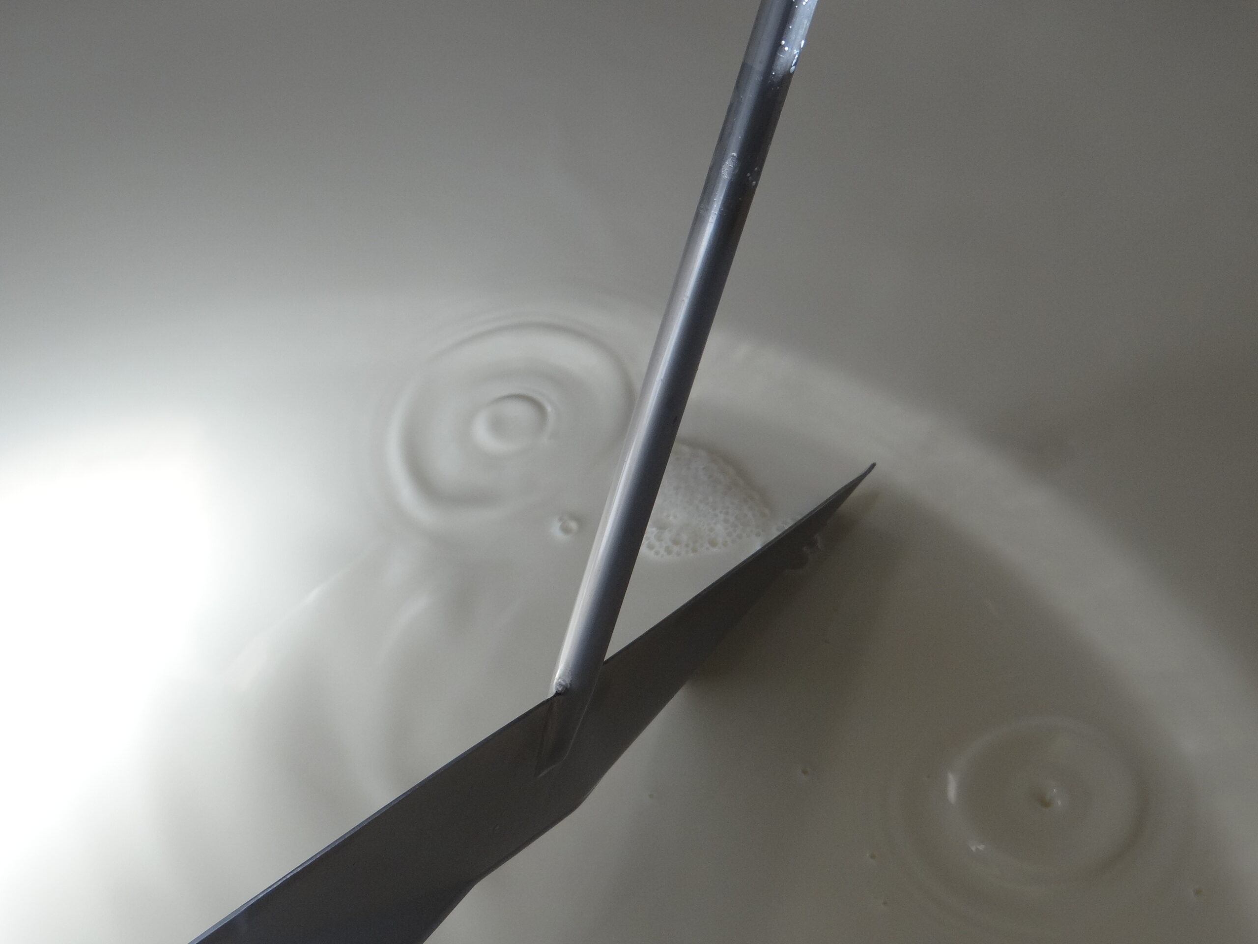 valor de referencia do leite gaucho fecha o ano com nova queda