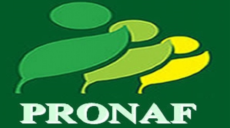 Veja lista dos produtos que terão bônus de desconto no Pronaf em dezembro