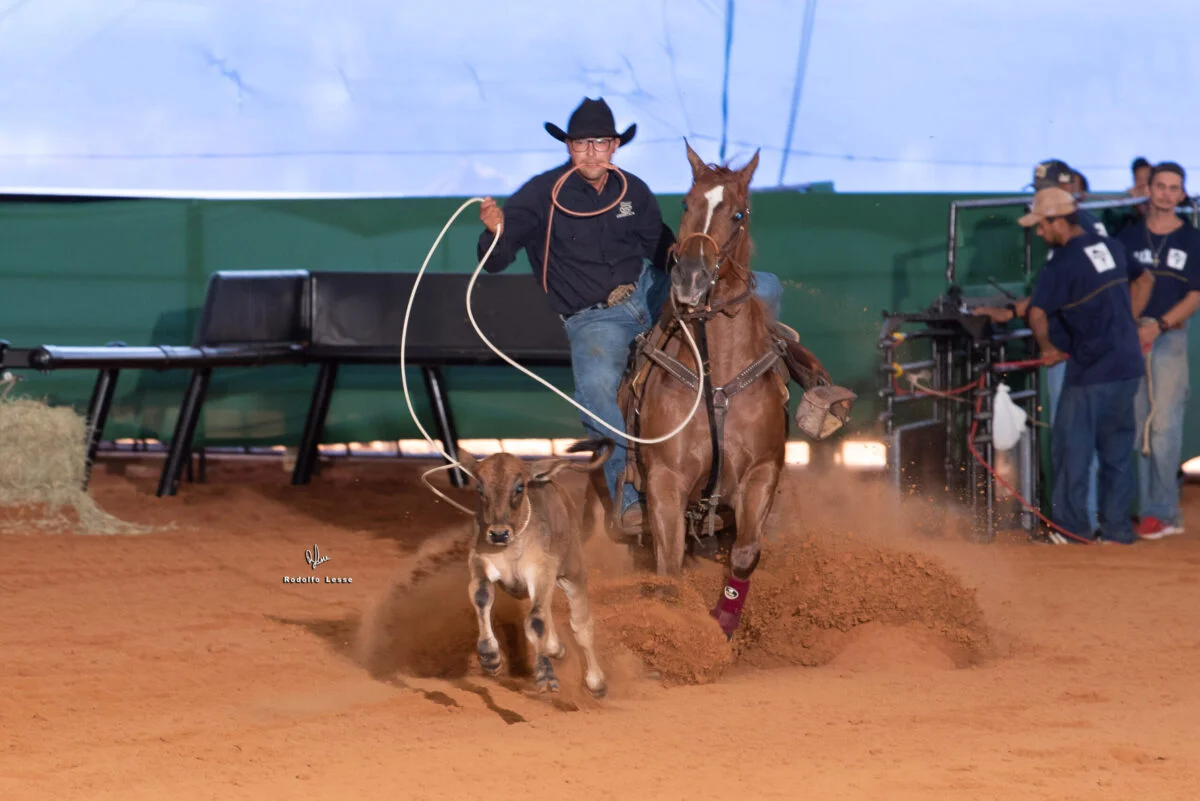 vpj quarter horses fecha 2022 com recorde e no topo do ranking do laco individual