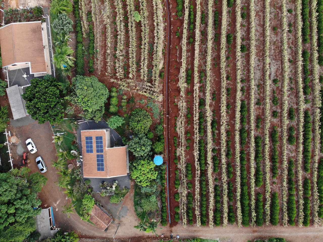 Banco Do Agricultor Paranaense Já Liberou R 300 Milhões Em