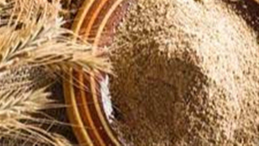 Cientistas confirmam beneficios do trigo integral