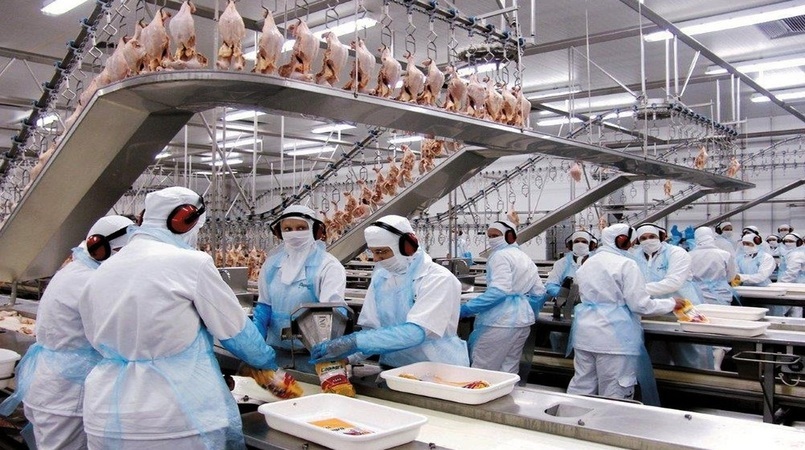 Exportacoes de carne de frango podem ser recorde em 2023