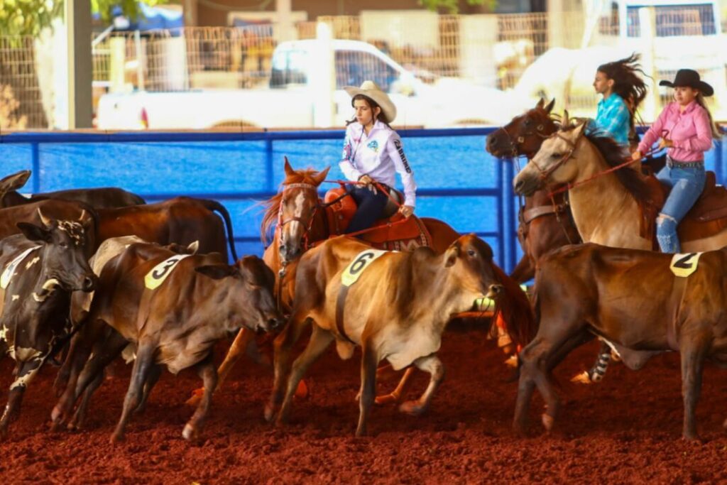 11º Team Penning Nossa Senhora Aparecida