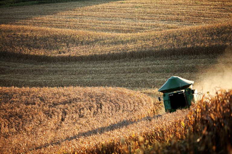 Valor da Producao Agropecuaria fecha 2022 em R 1189 trilhao